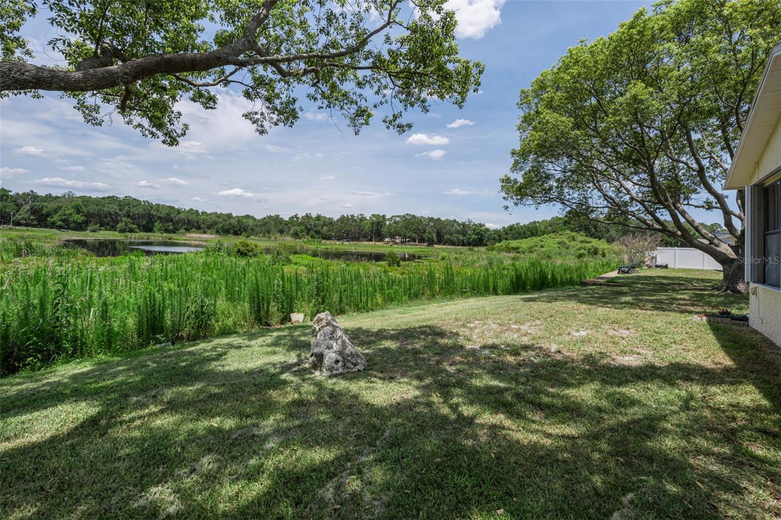 12603 PECAN TREE DR — photo 9
