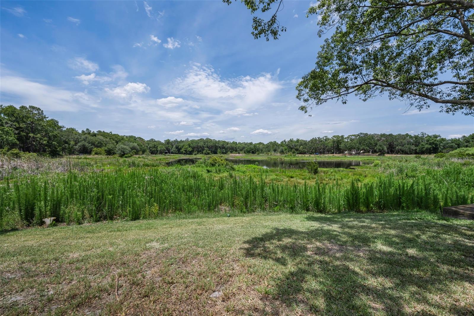 12603 PECAN TREE DR — photo 7