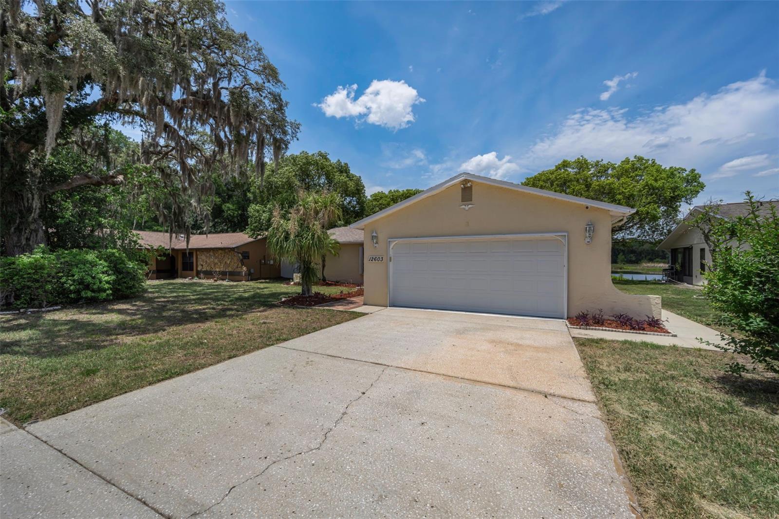 12603 PECAN TREE DR — photo 2