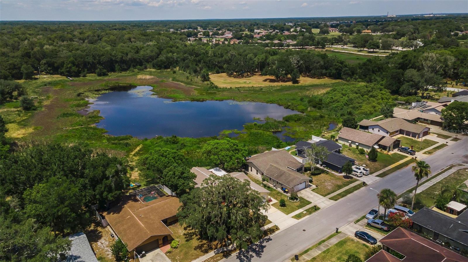 12603 PECAN TREE DR — photo 44