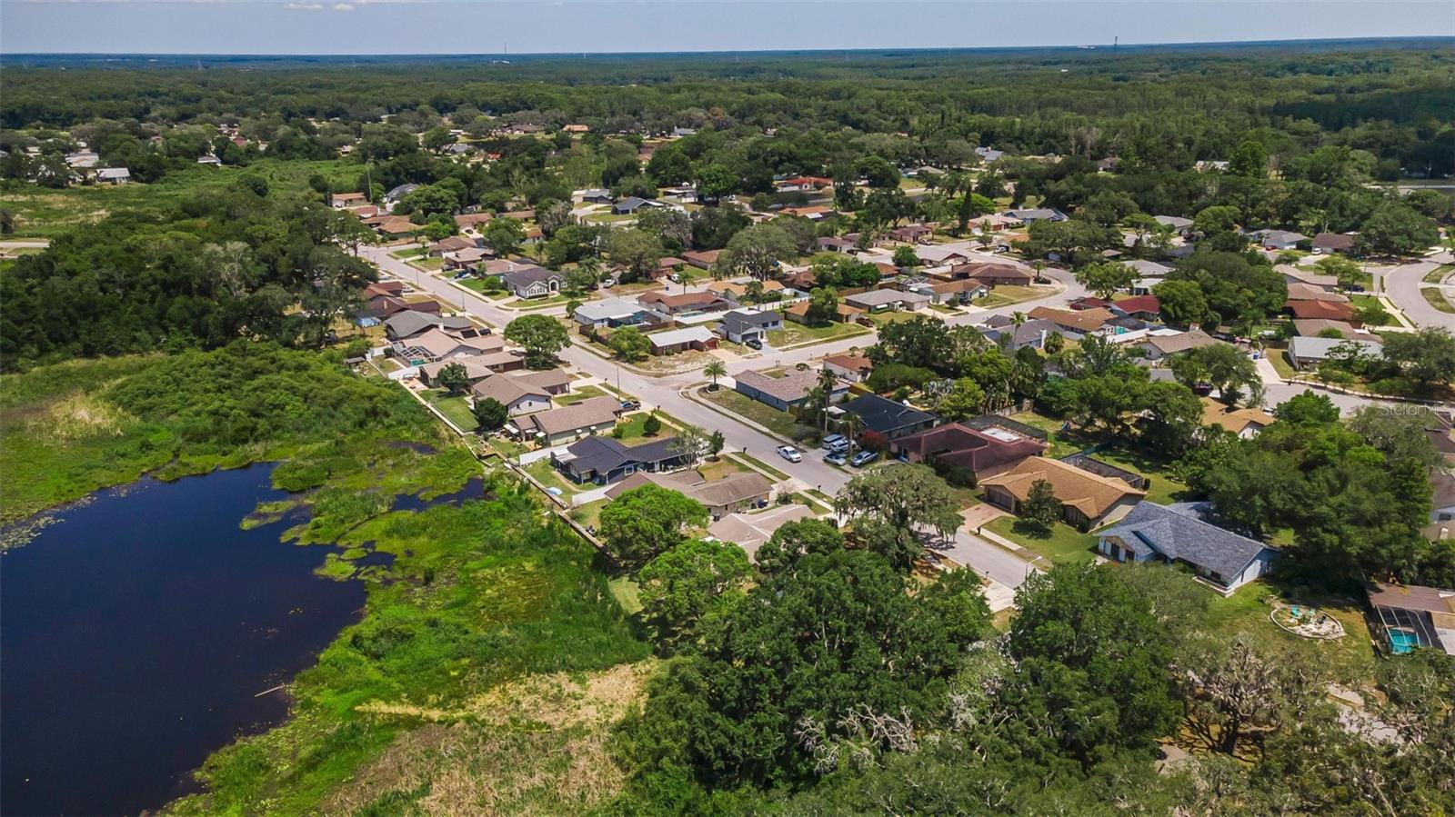 12603 PECAN TREE DR — photo 47