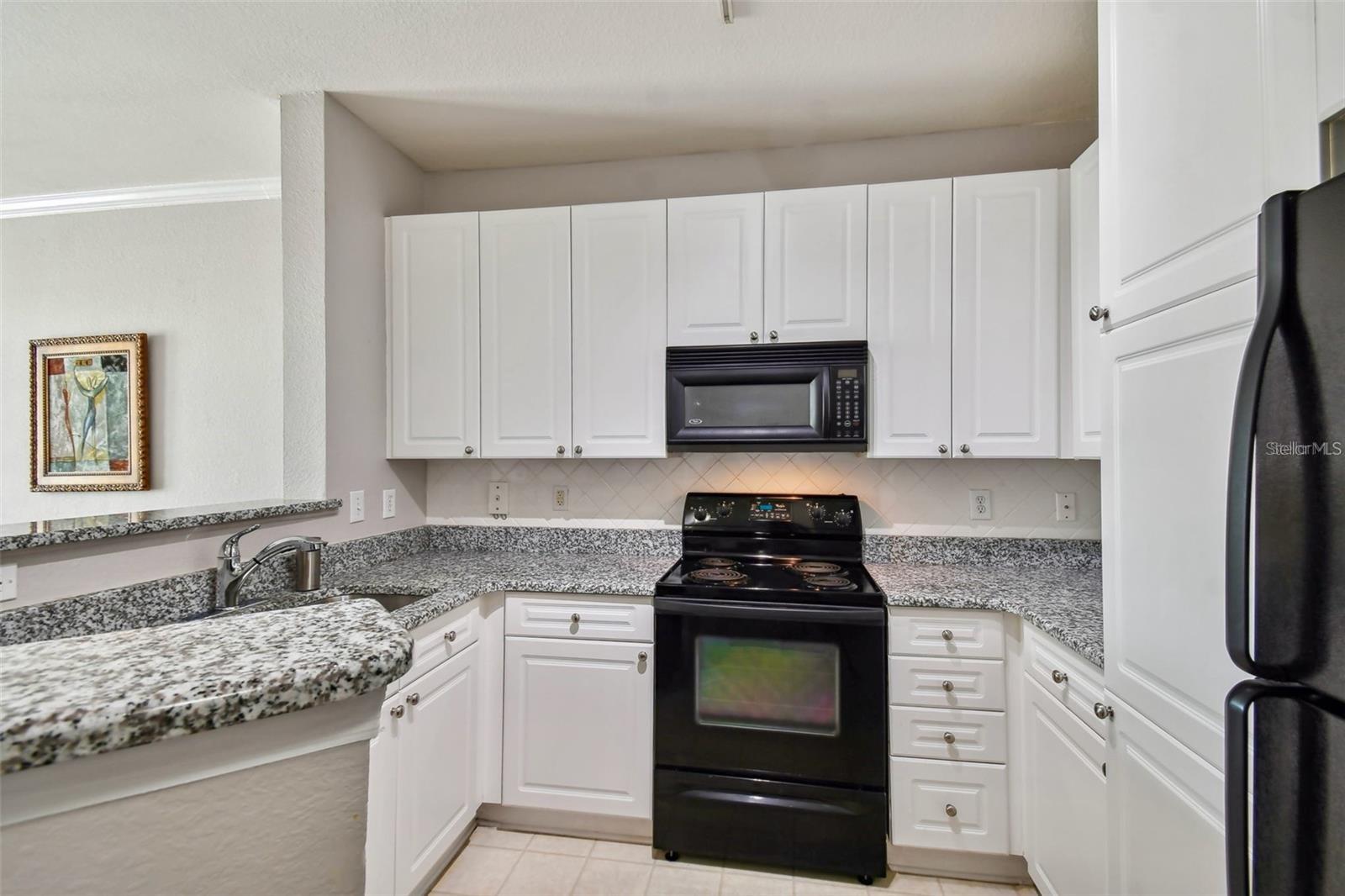 4221 W SPRUCE ST #2323 — photo 6