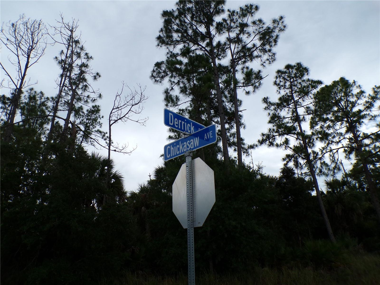 CHICKASAW AVE — photo 7