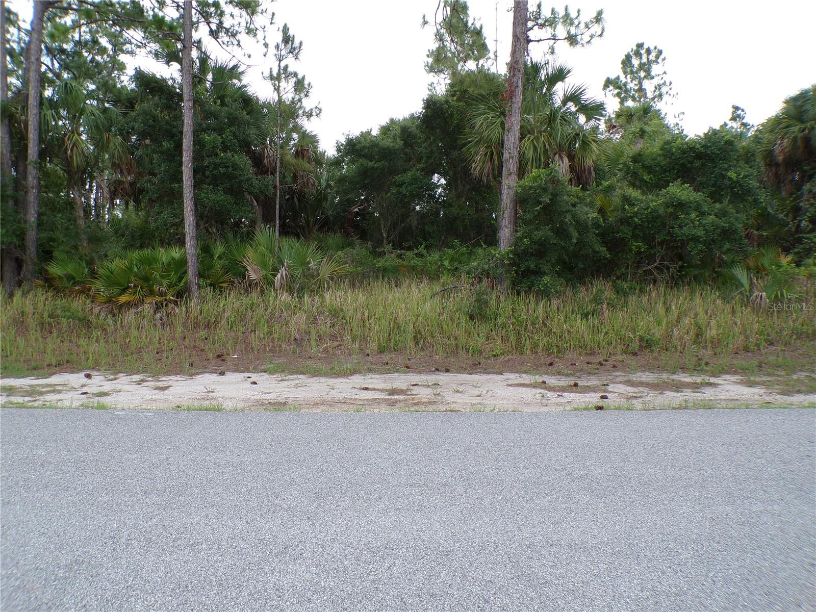 CHICKASAW AVE — photo 11