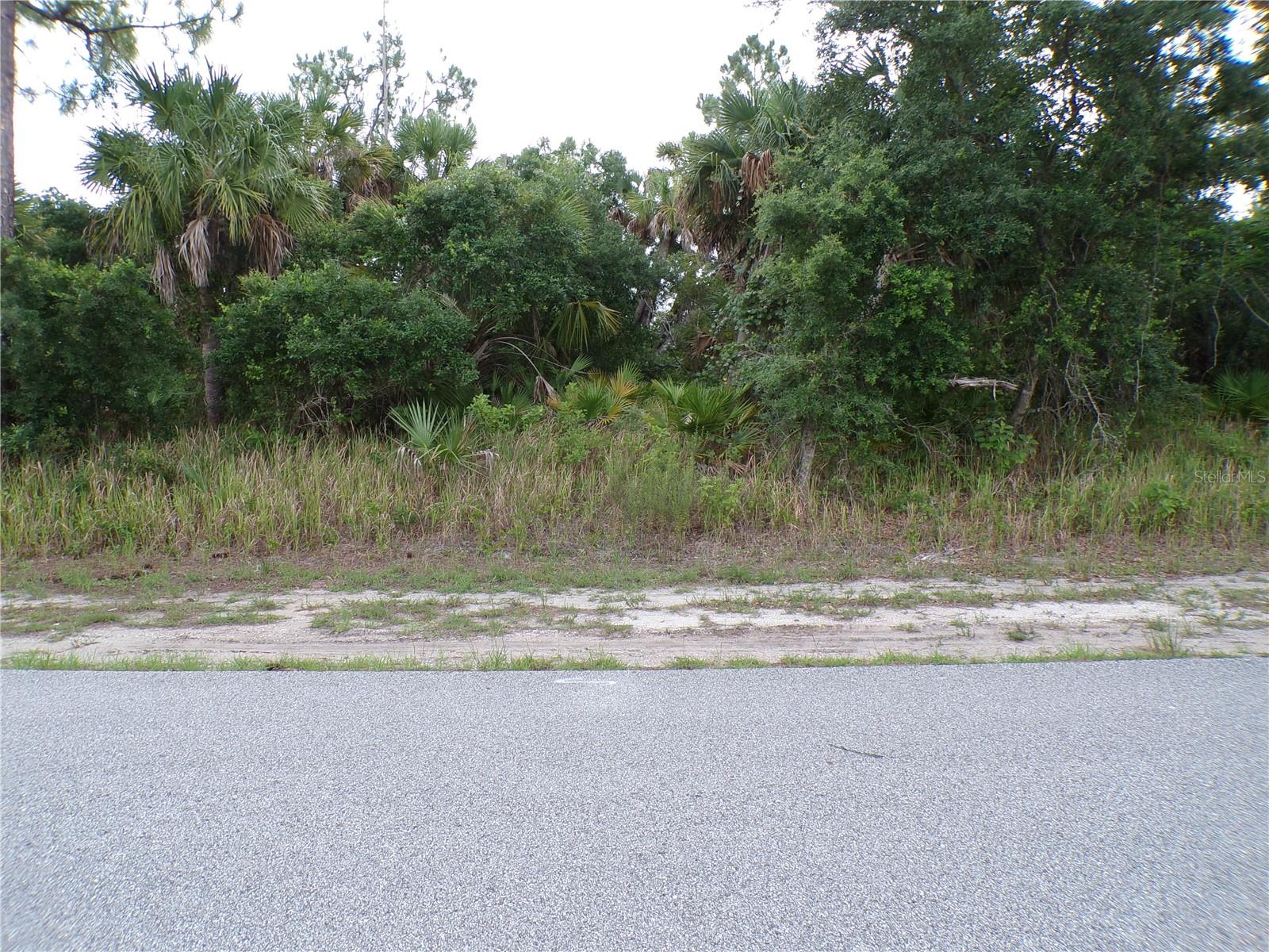 CHICKASAW AVE — photo 12