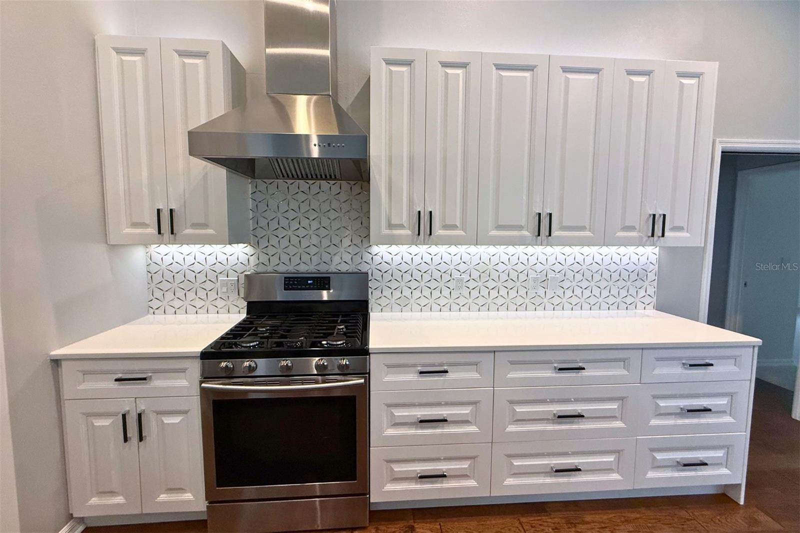 4824 HANGING MOSS LN — photo 16