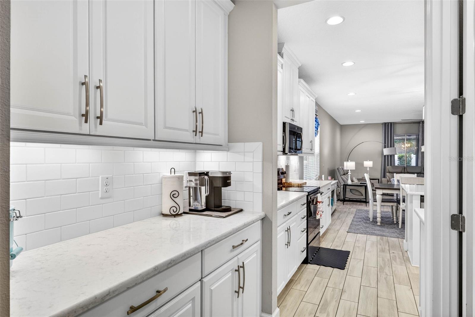 29894 CHAPEL CHASE DR — photo 9