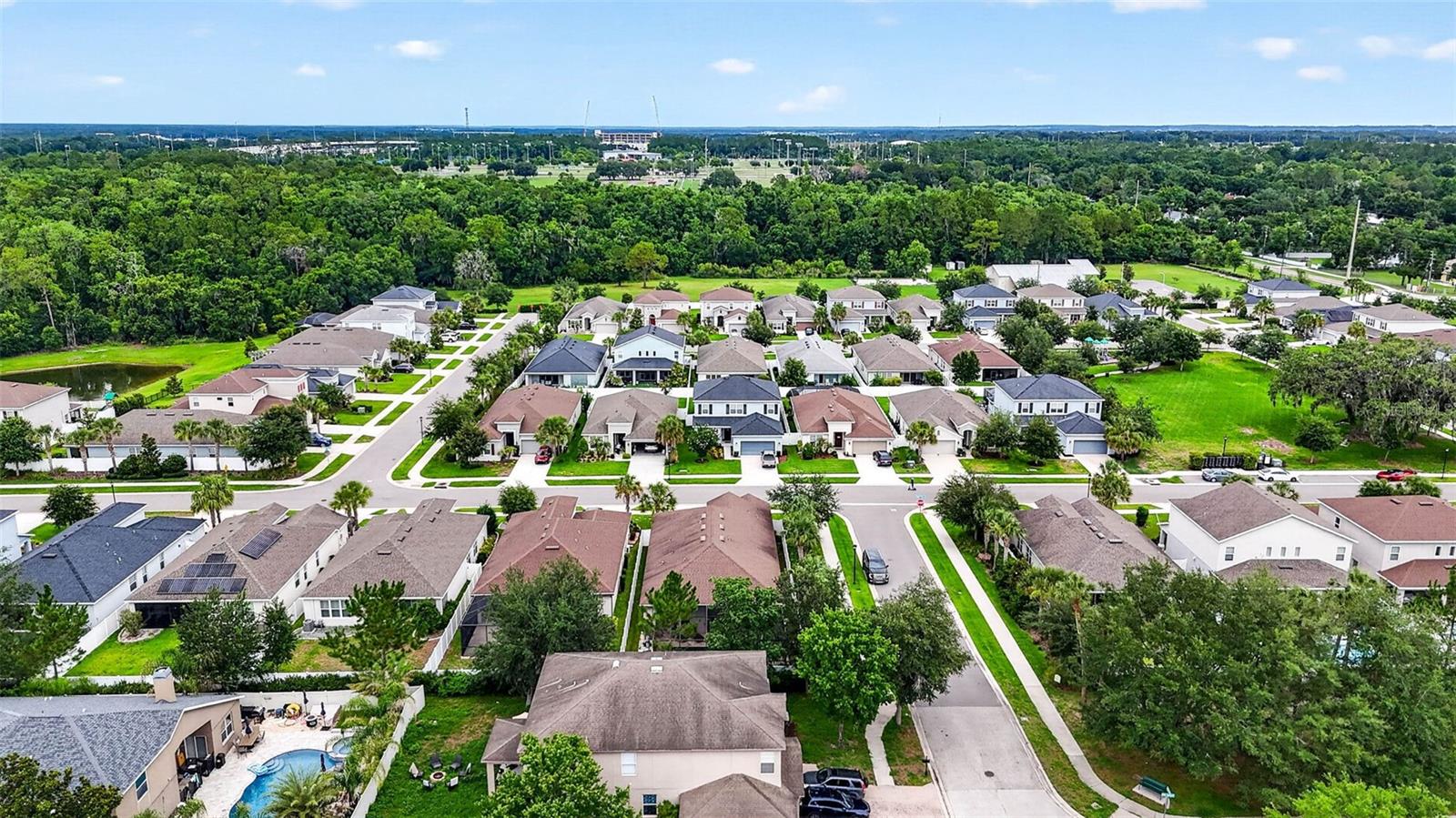 29894 CHAPEL CHASE DR — photo 58