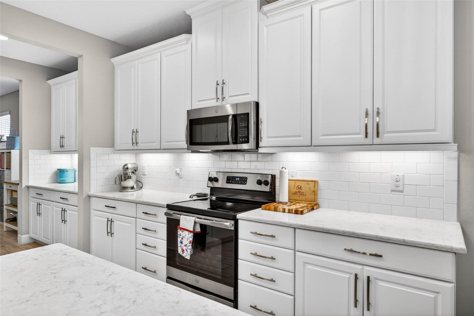29894 CHAPEL CHASE DR — photo 10