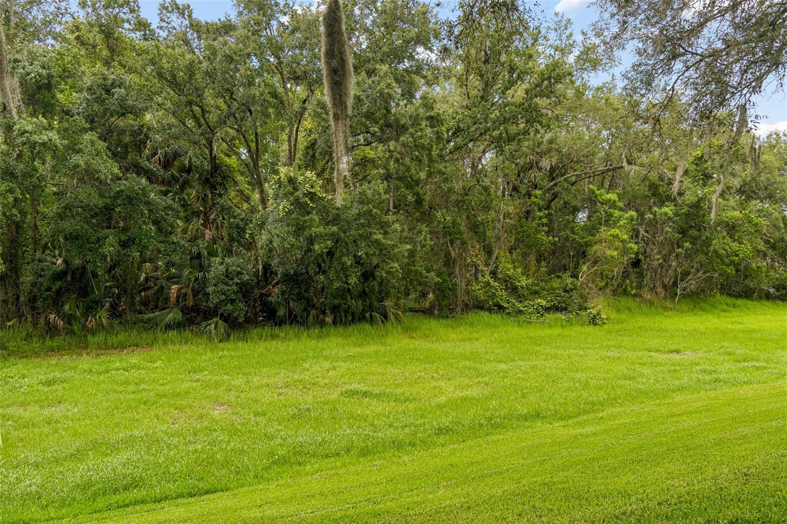 9311 HAAS DR — photo 56
