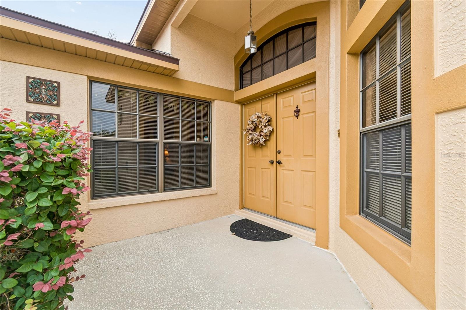 9311 HAAS DR — photo 3