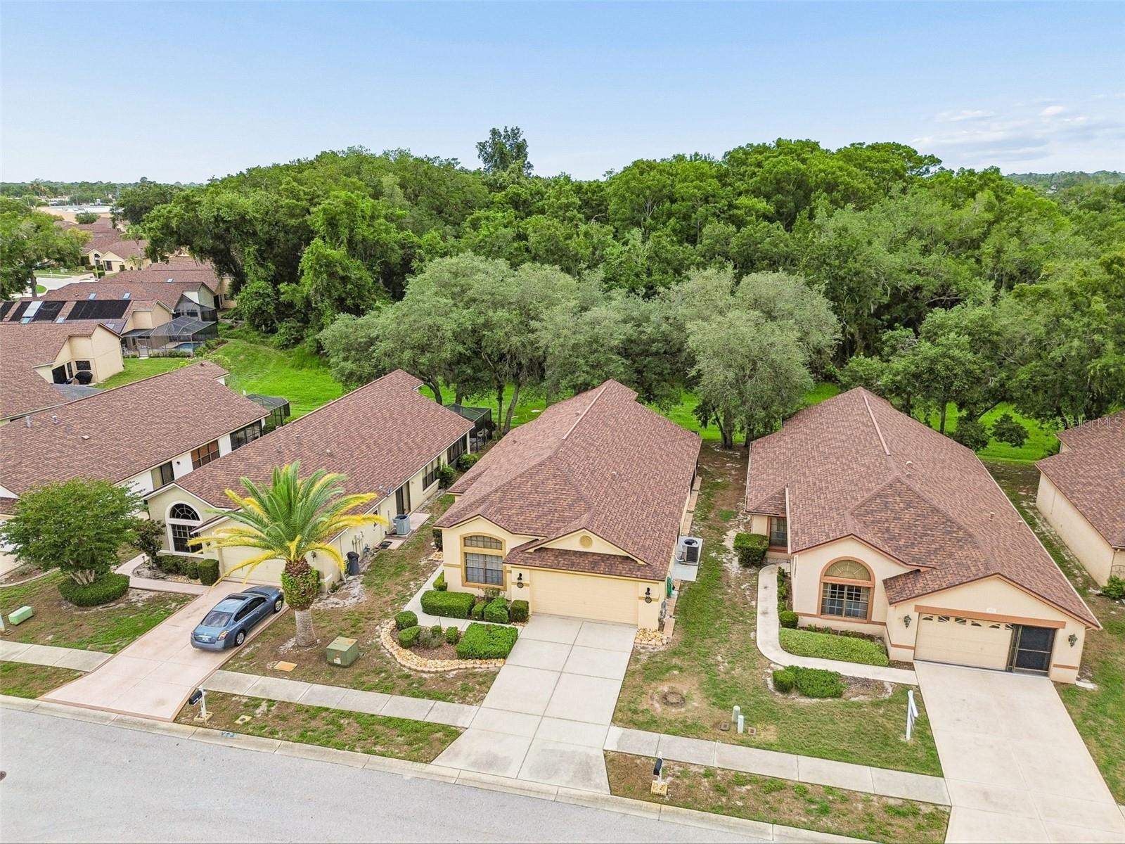 9311 HAAS DR — photo 59