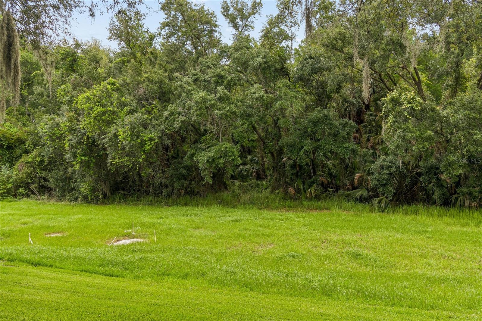 9311 HAAS DR — photo 57