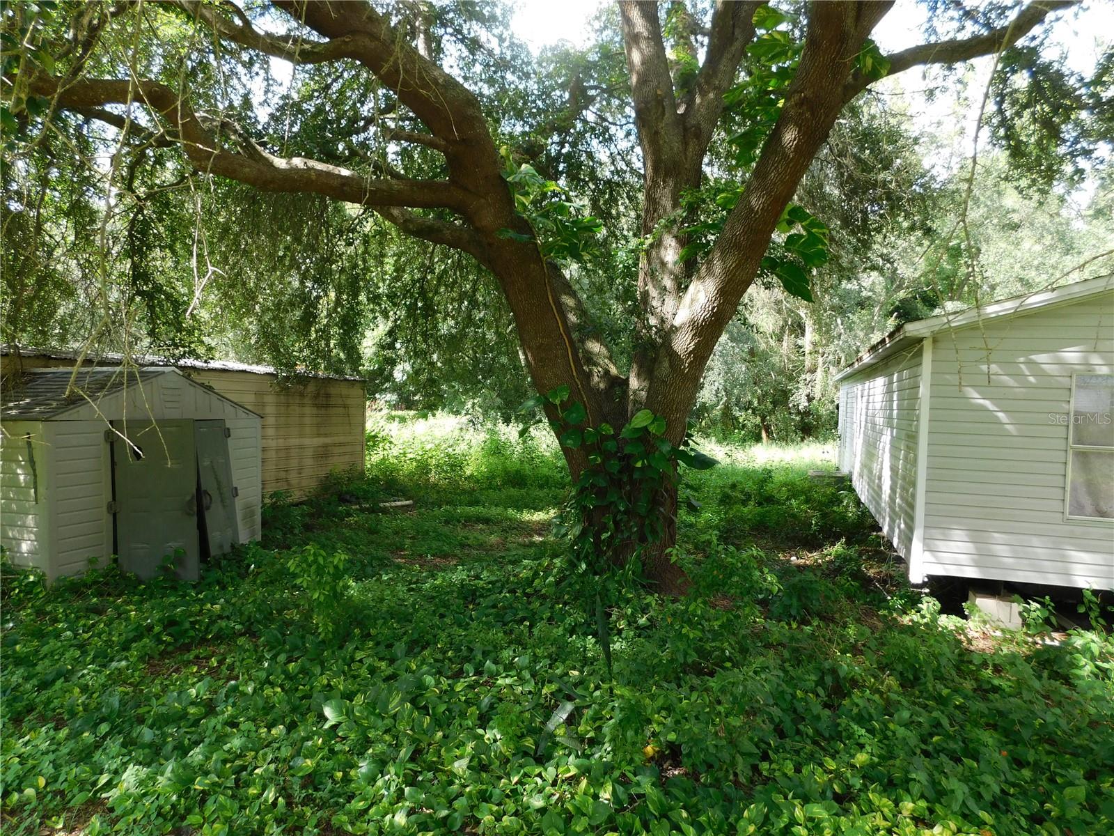 30501 CLEARVIEW DR — photo 35