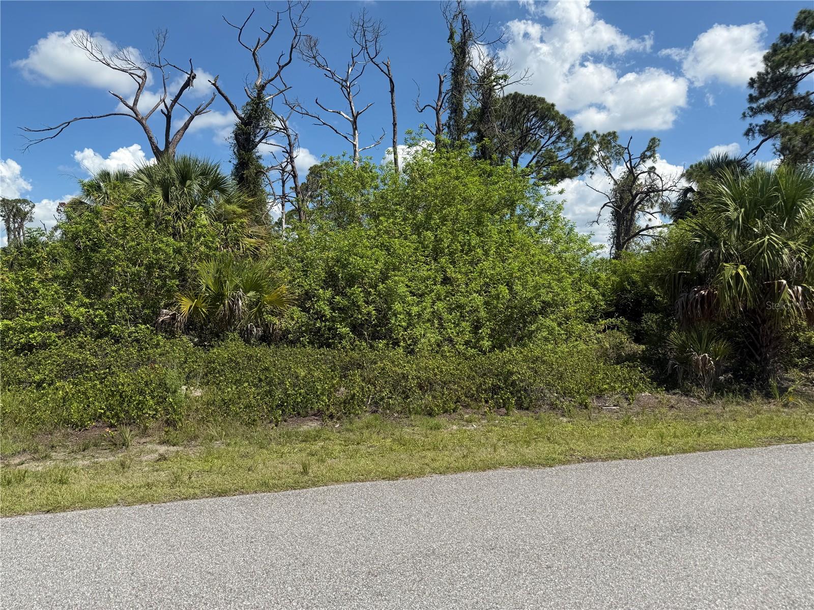 FAIRLANE DR — photo 2