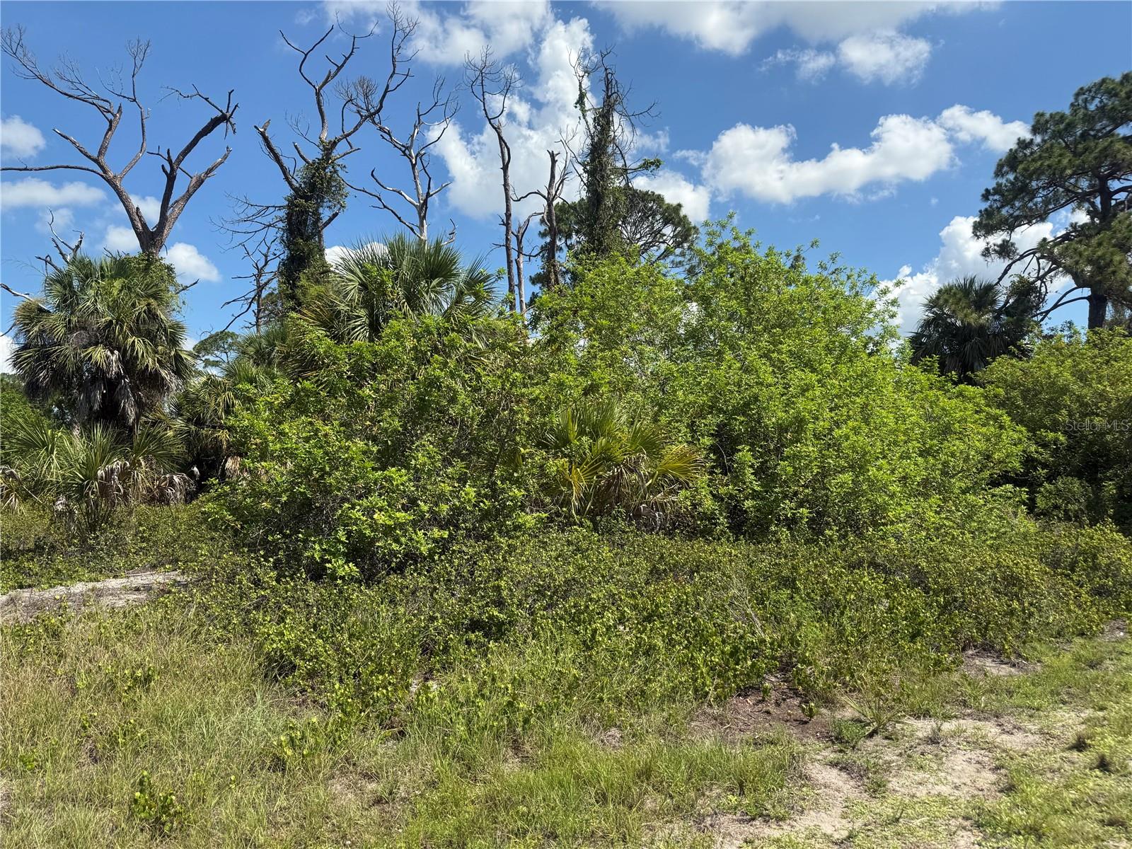 FAIRLANE DR — photo 3