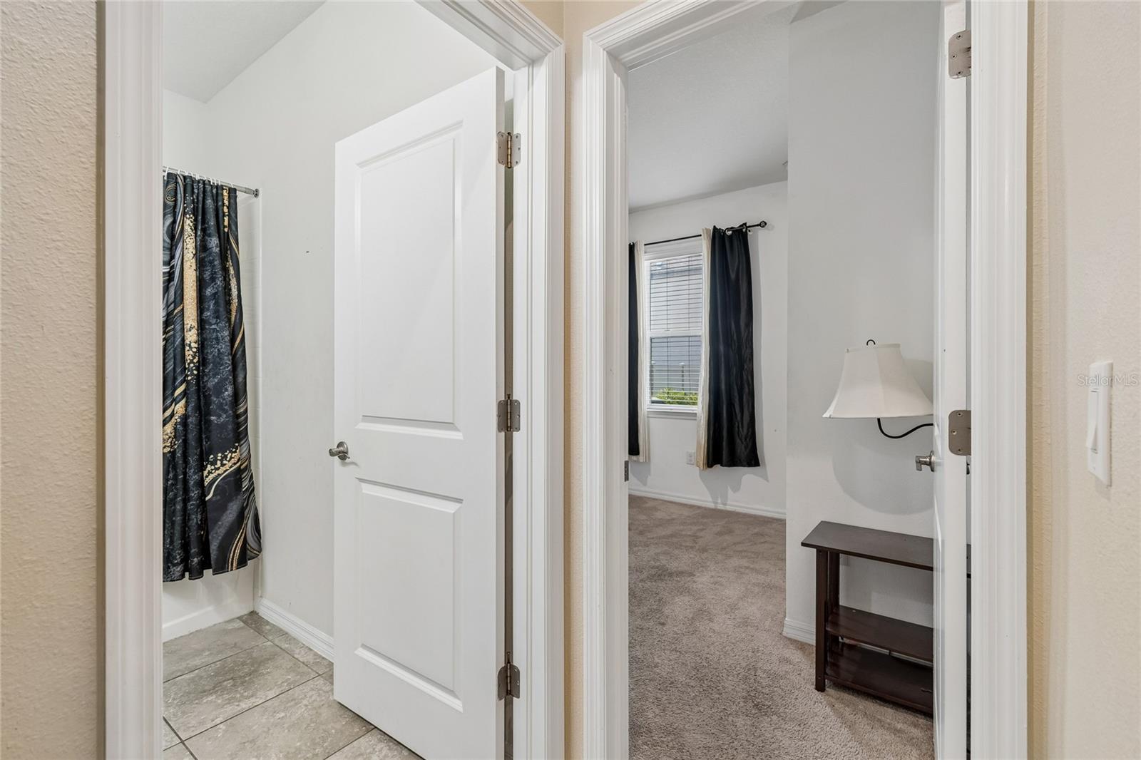 11804 BLUEGRASS FIELD CT — photo 6
