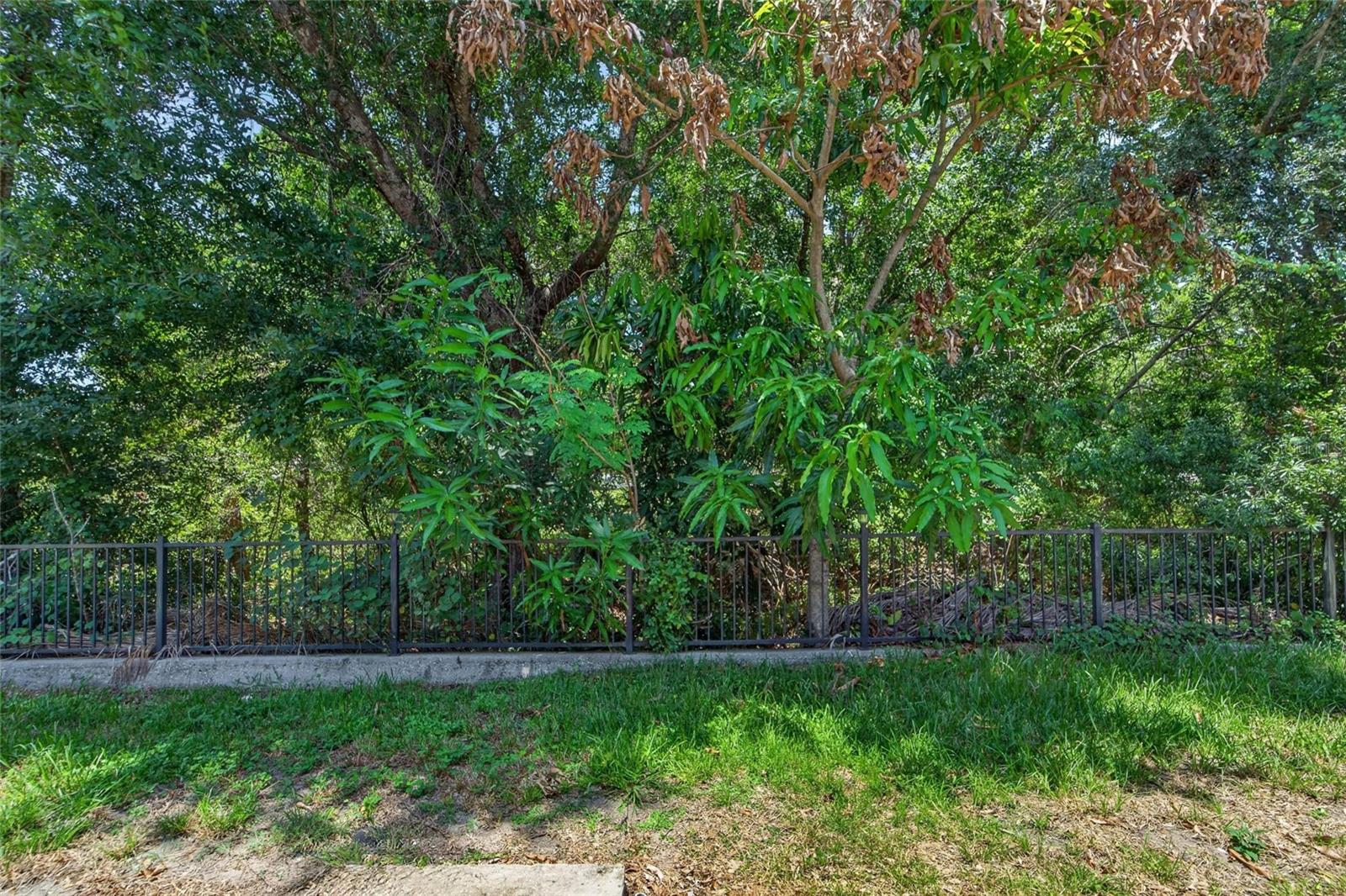 10818 BRICKSIDE CT — photo 22