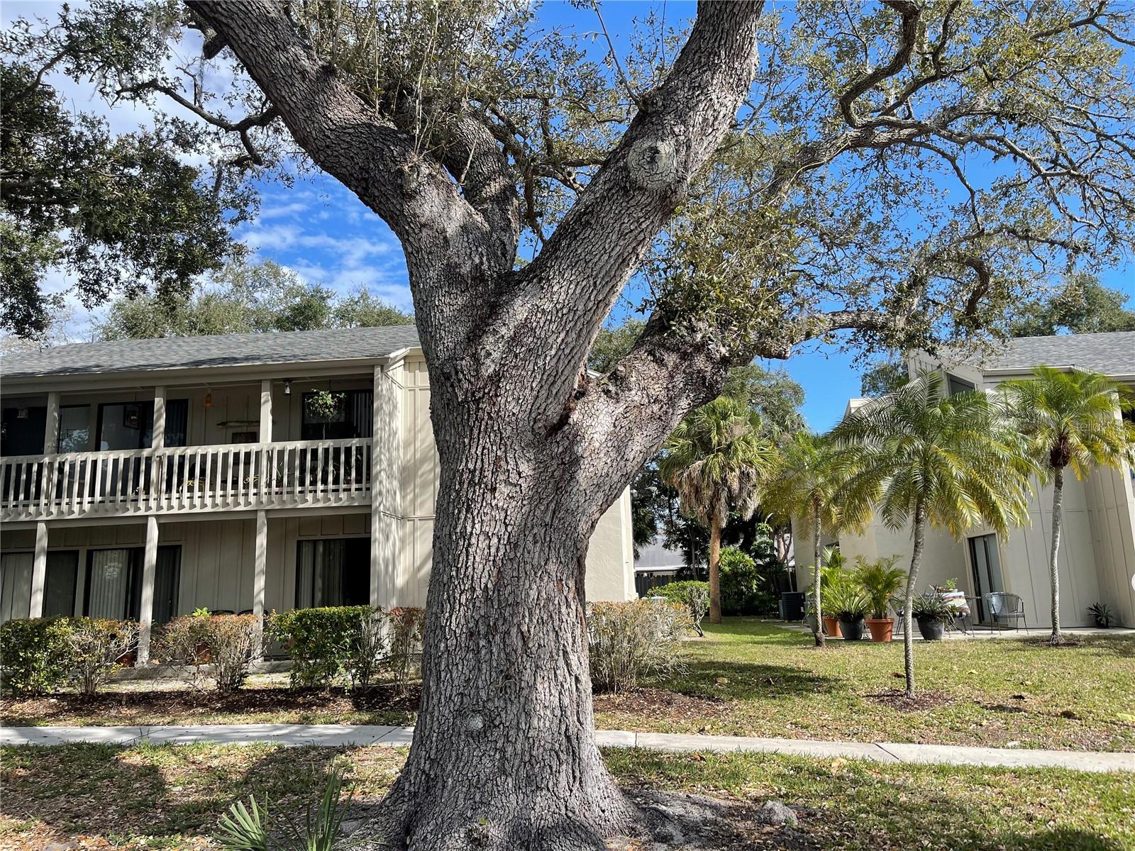 2224 BAHIA VISTA ST #E6 — photo 2