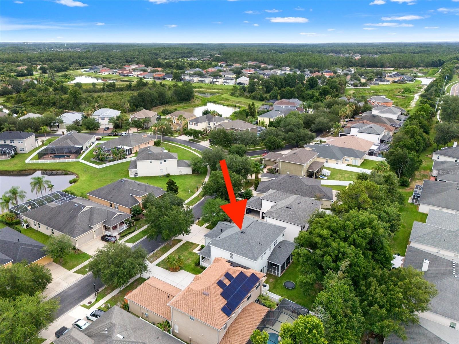 20008 BLUFF OAK BLVD — photo 60