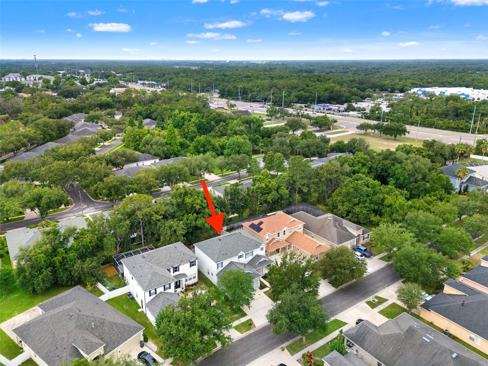 20008 BLUFF OAK BLVD — photo 62