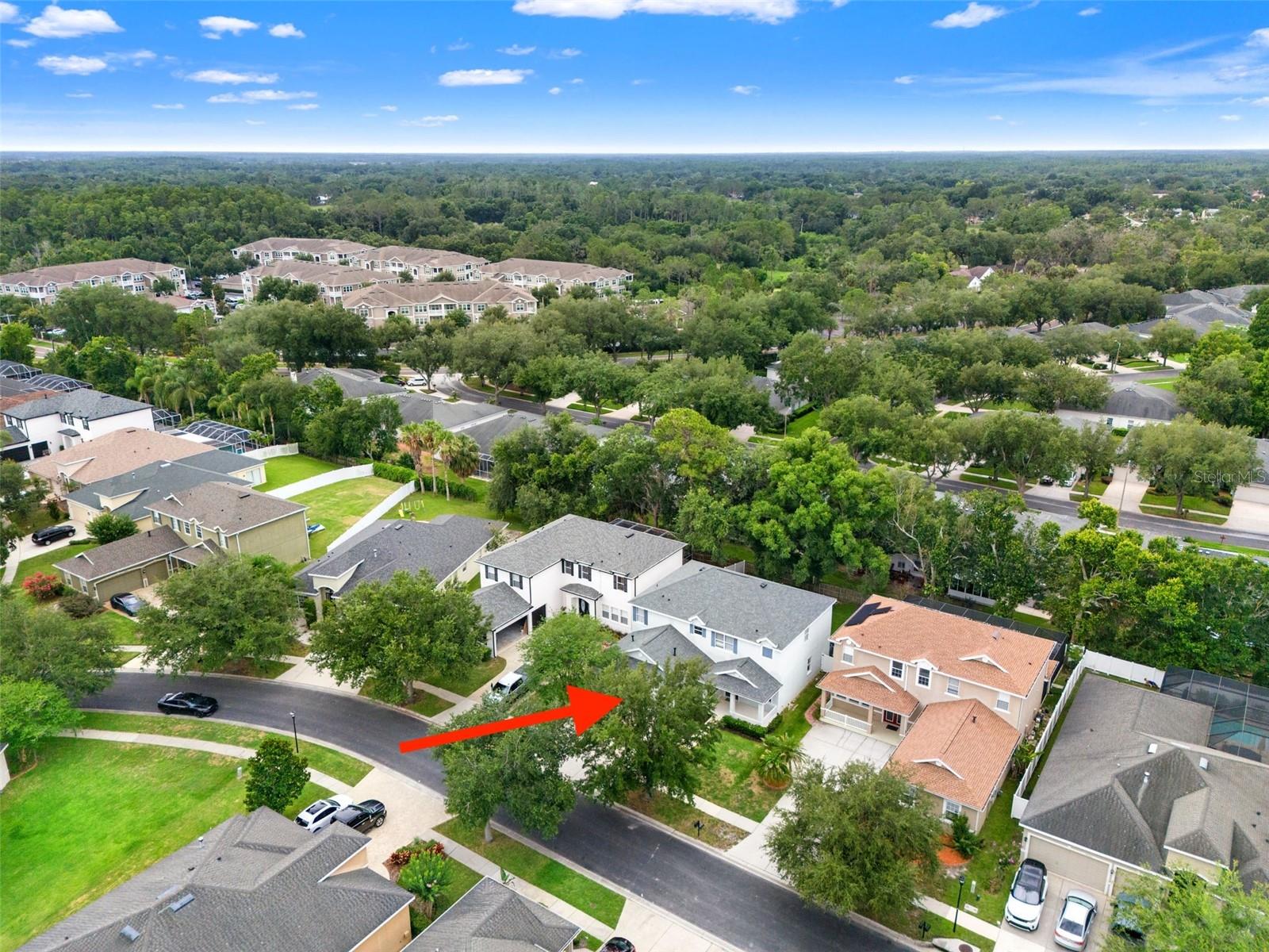 20008 BLUFF OAK BLVD — photo 59