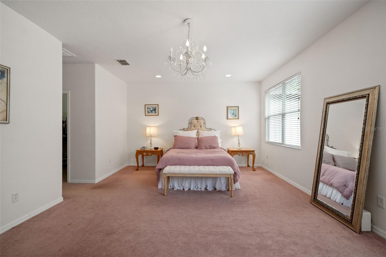 20008 BLUFF OAK BLVD — photo 28