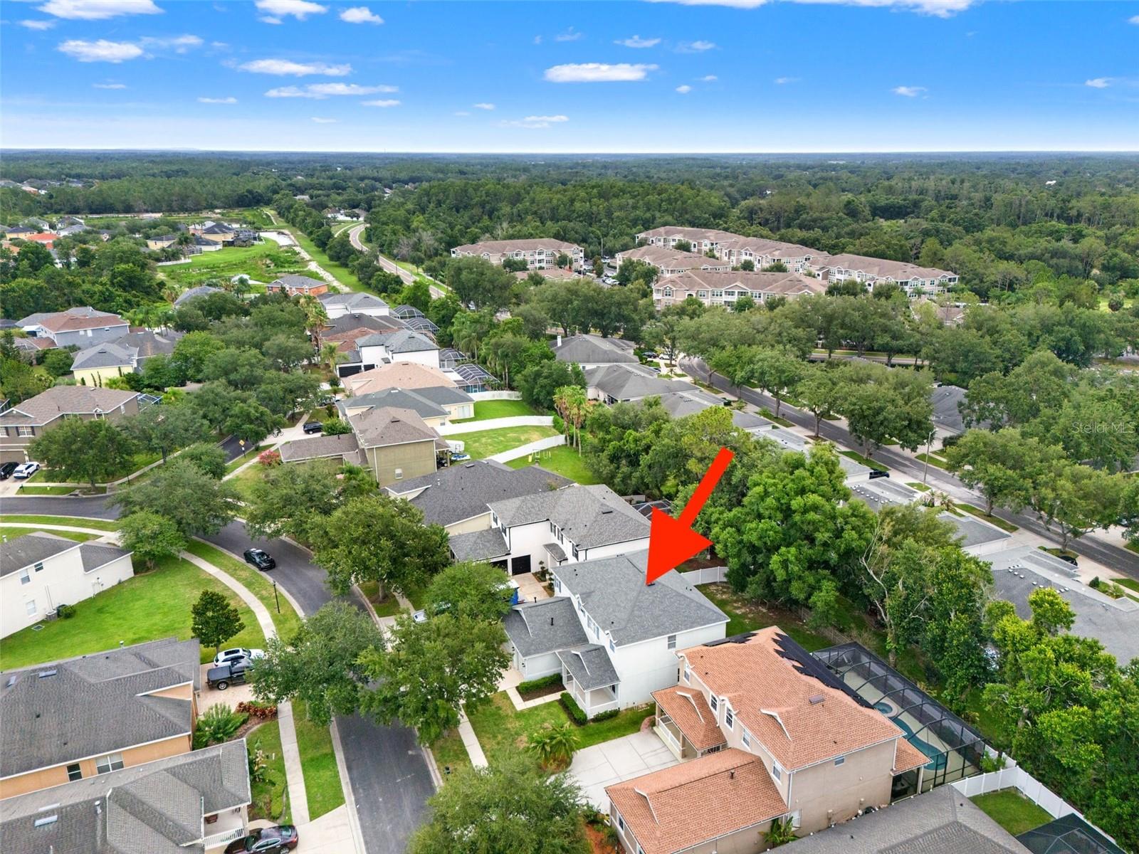 20008 BLUFF OAK BLVD — photo 61