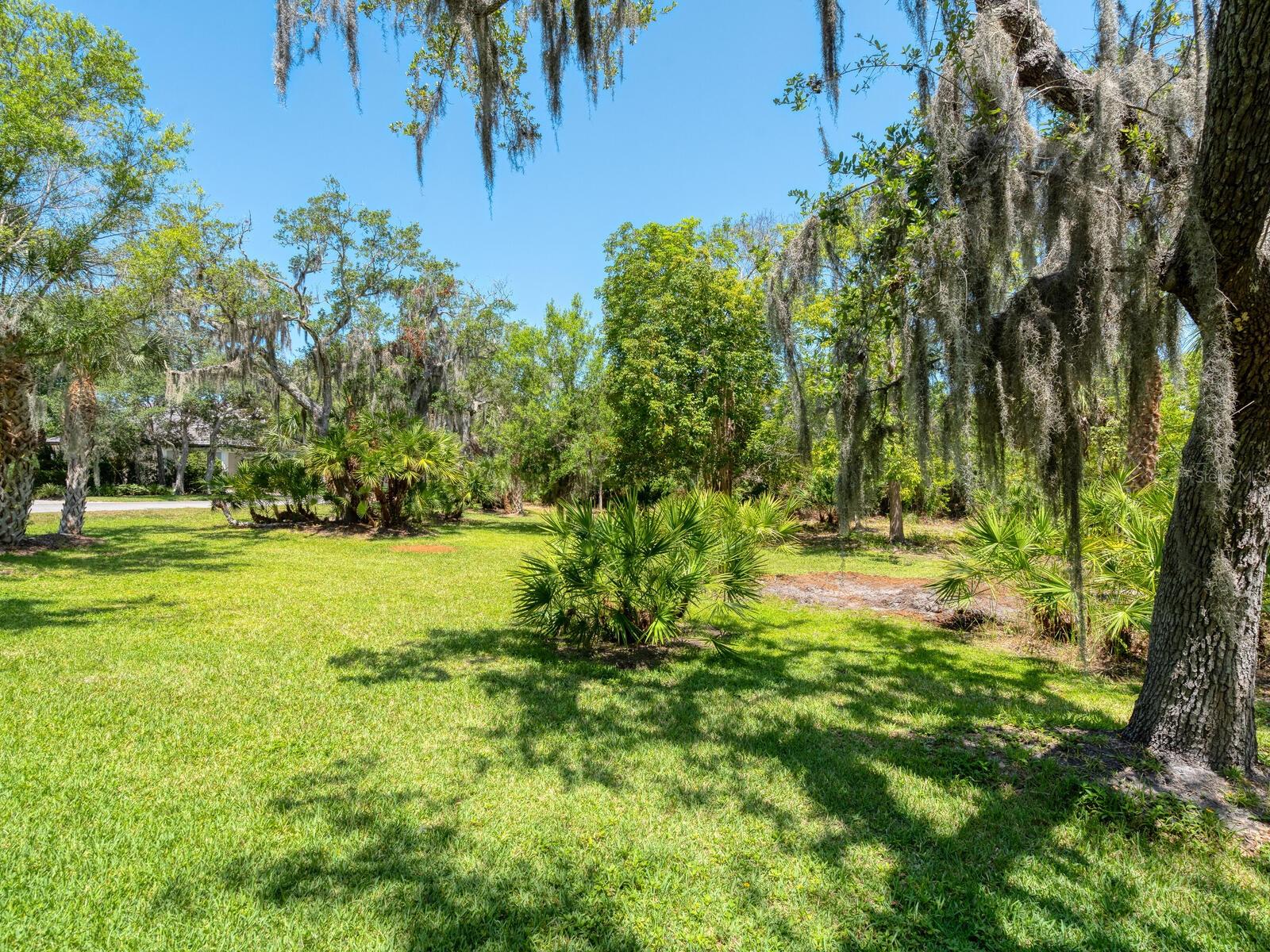 216 OSPREY POINT DR — photo 5