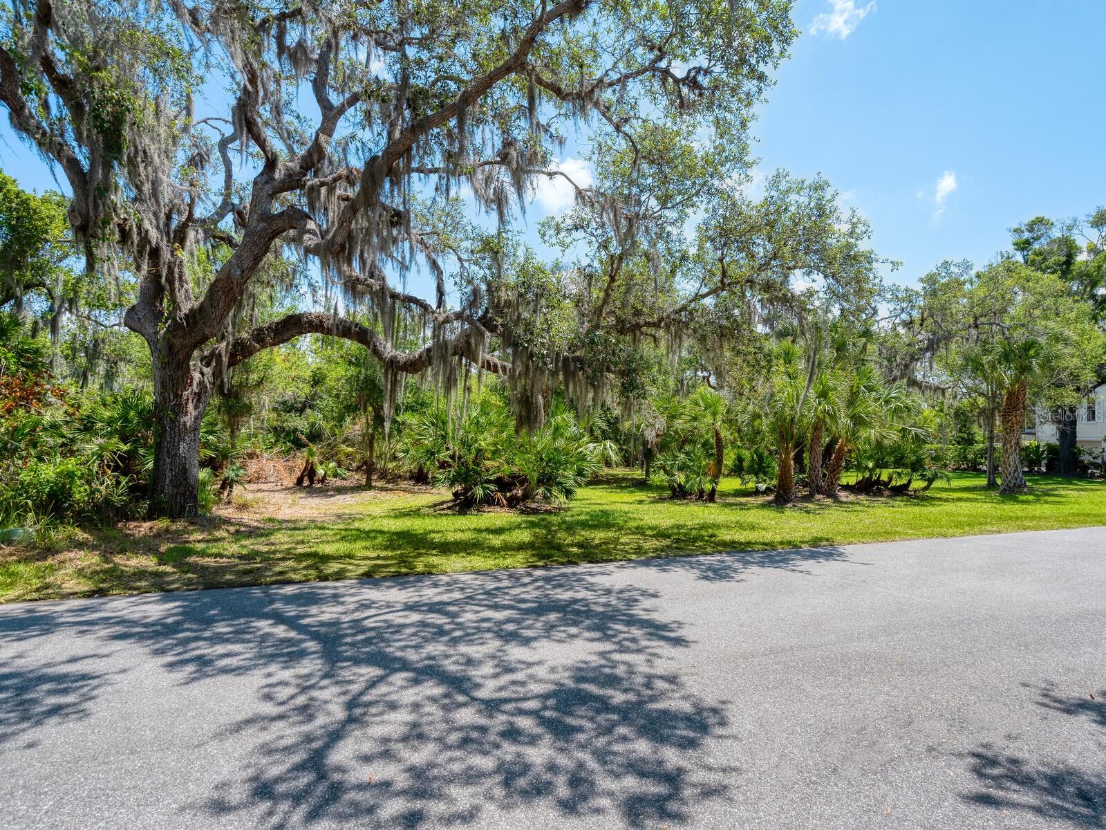 216 OSPREY POINT DR — photo 3