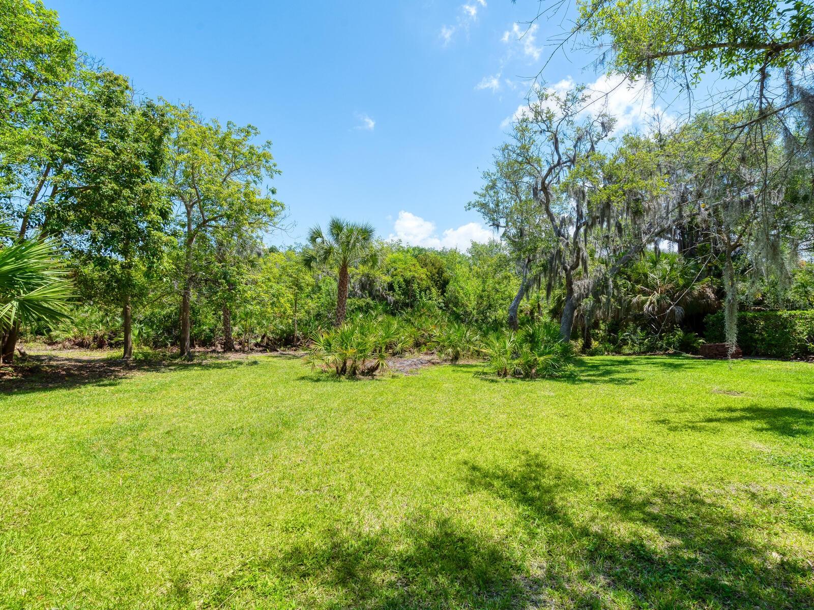216 OSPREY POINT DR — photo 4