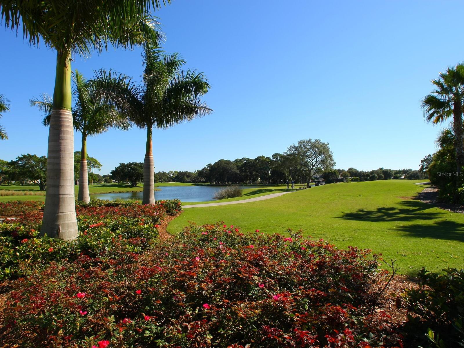 216 OSPREY POINT DR — photo 15