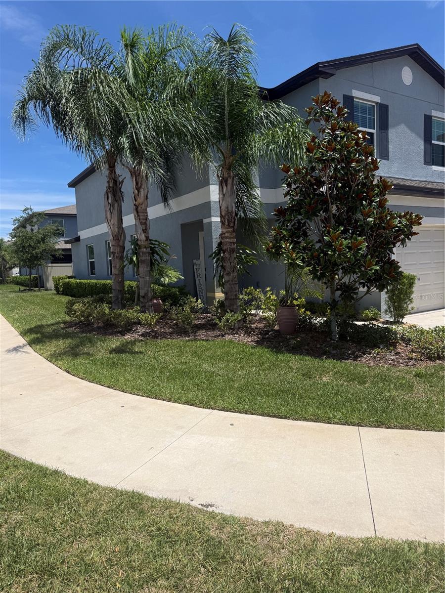 2188 CERULEAN SKY DR — photo 32