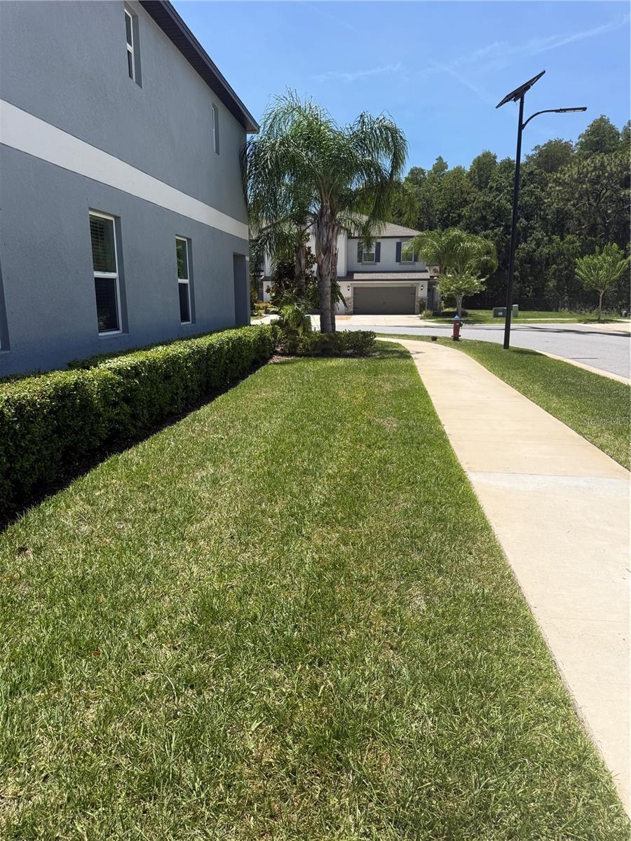 2188 CERULEAN SKY DR — photo 31