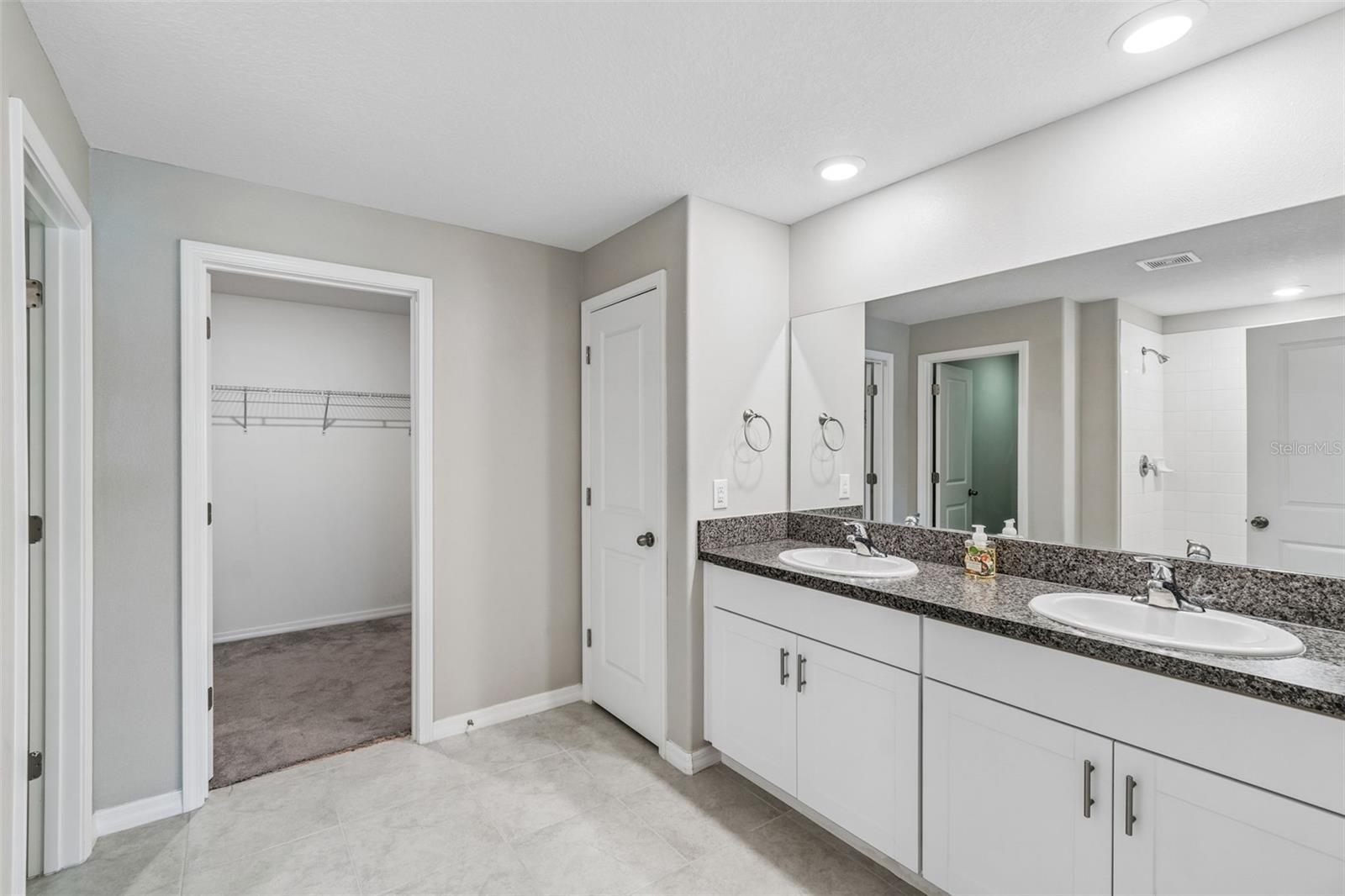 6388 SPIDER LILY WAY — photo 15