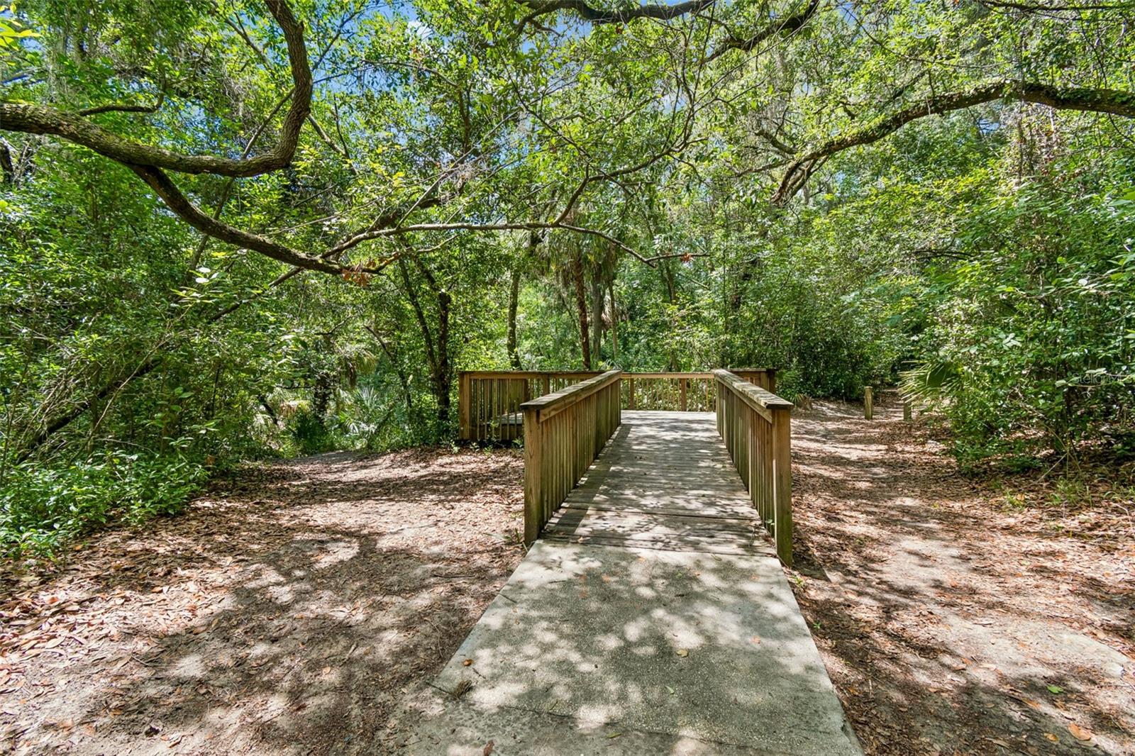 6388 SPIDER LILY WAY — photo 44