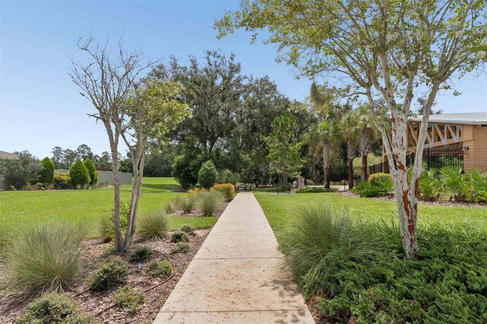 6388 SPIDER LILY WAY — photo 45