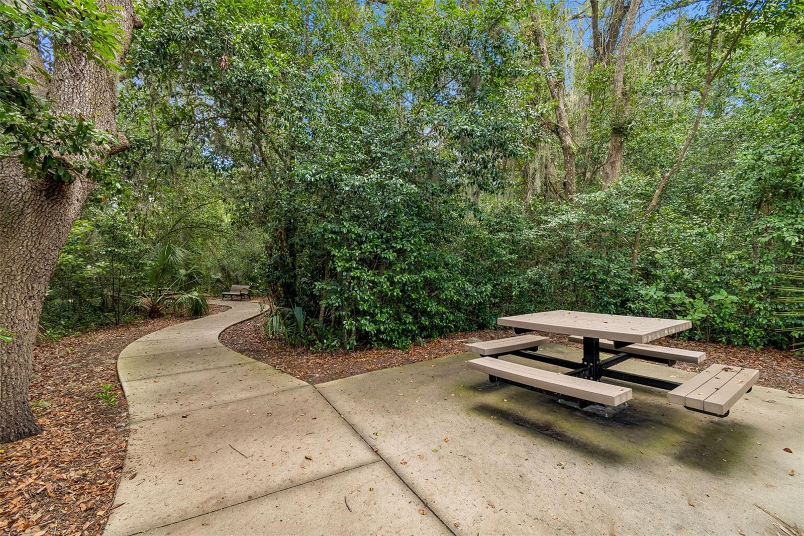 6388 SPIDER LILY WAY — photo 42
