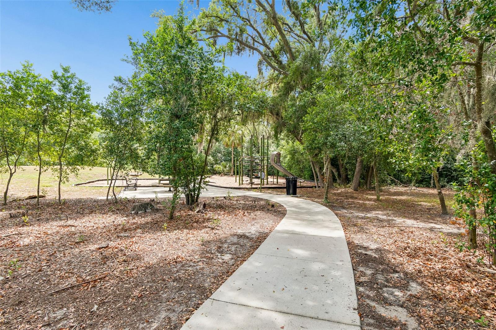 6388 SPIDER LILY WAY — photo 37