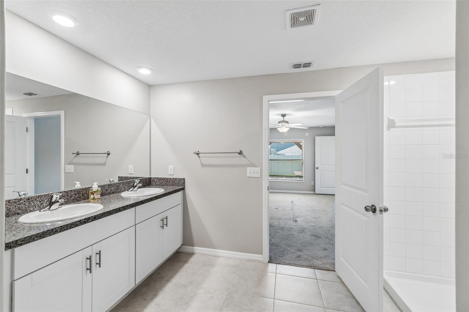 6388 SPIDER LILY WAY — photo 16