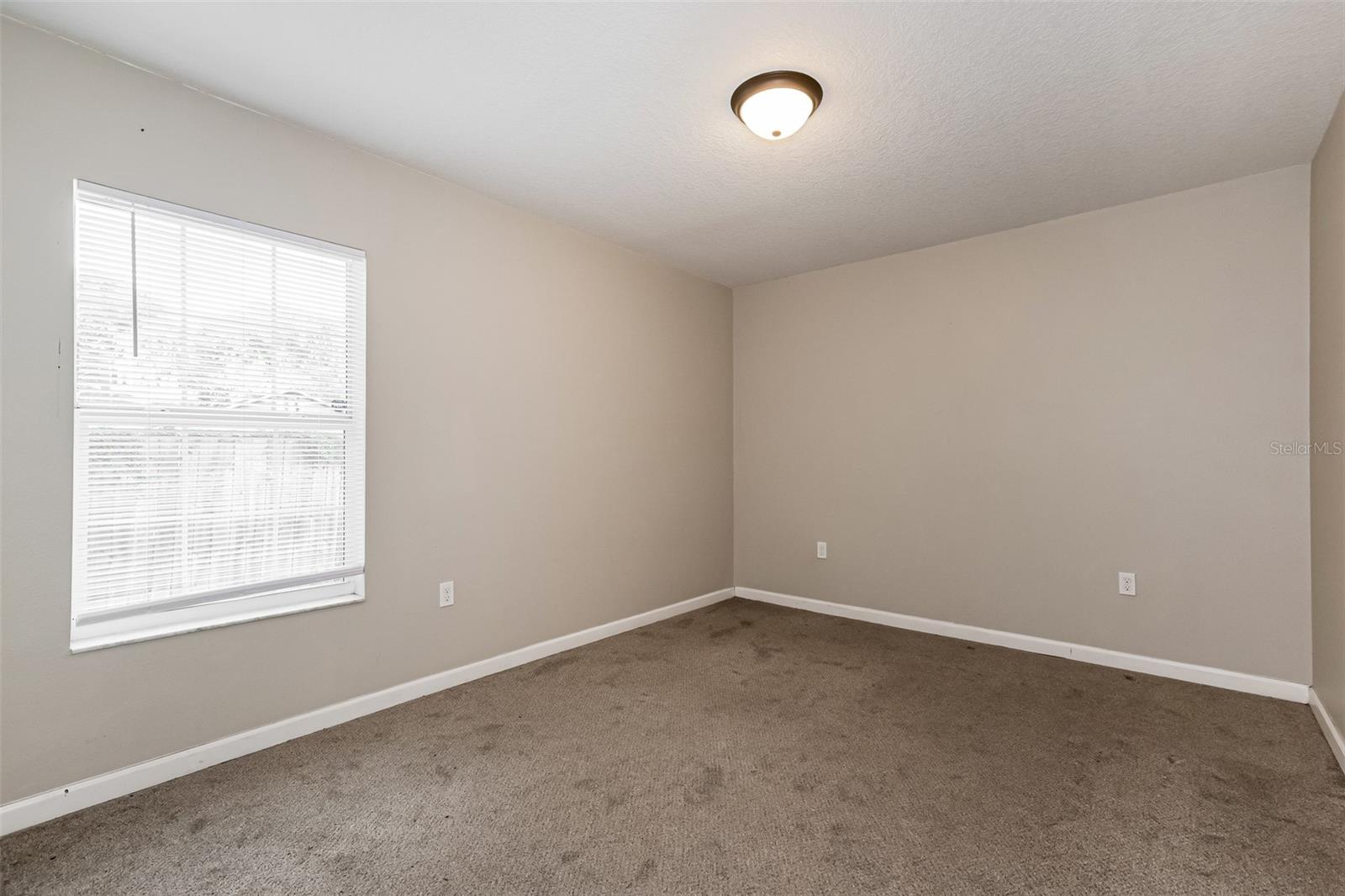 1505 E CARACAS ST — photo 14