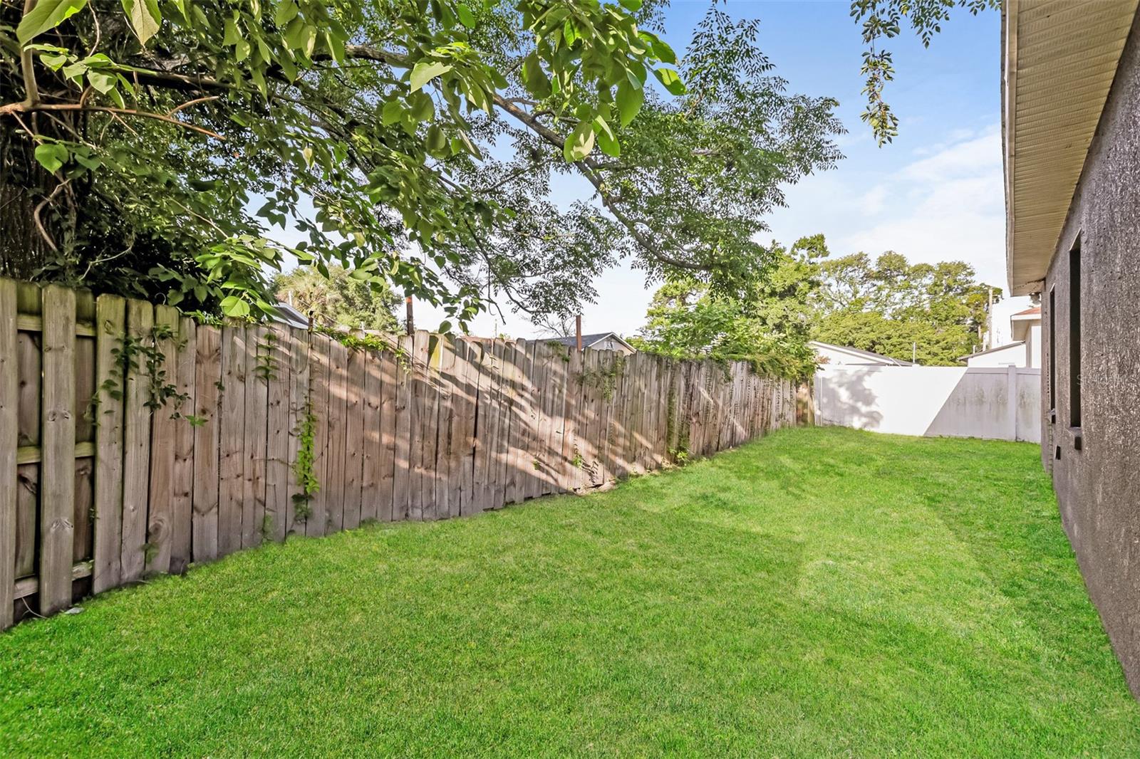 1505 E CARACAS ST — photo 20