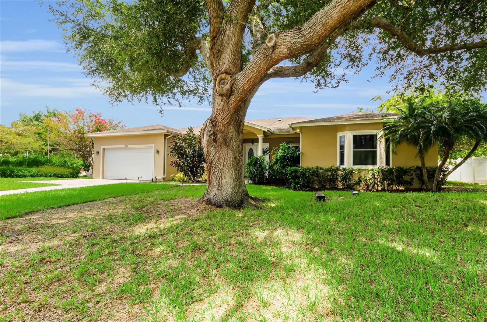 1888 BUGLE LN — photo 6
