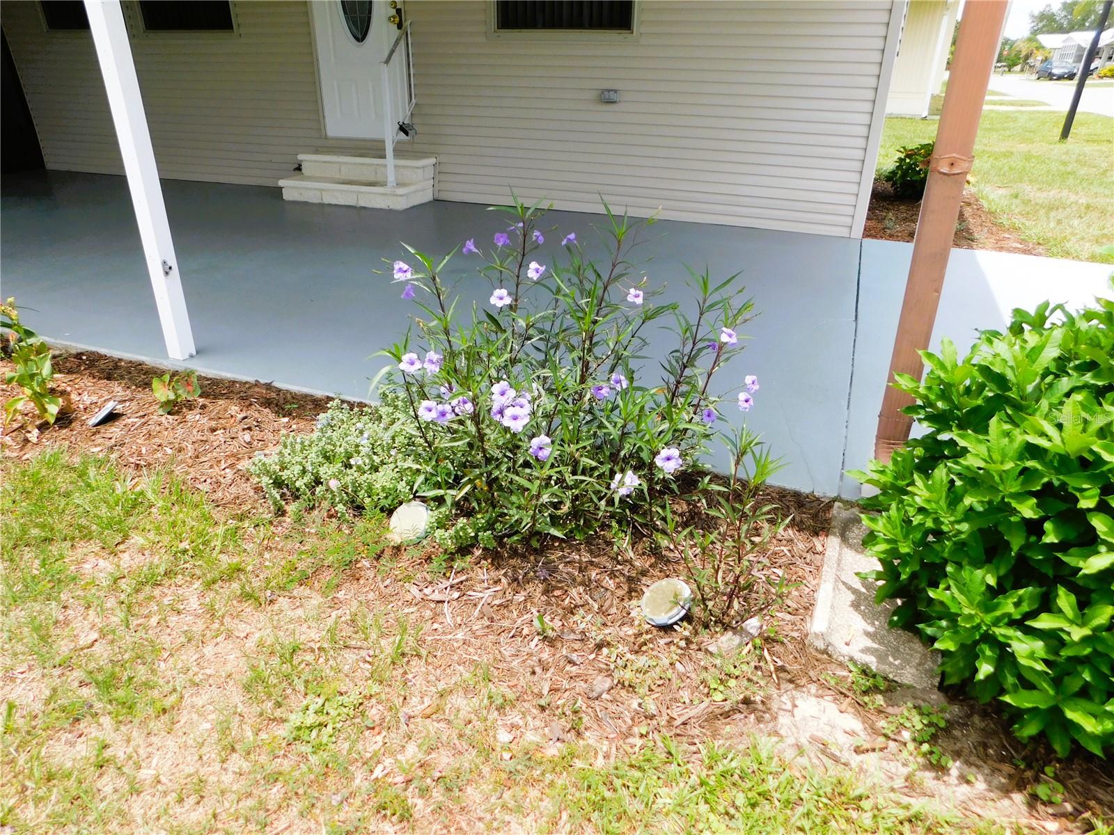5315 ANTIGUA DR — photo 2