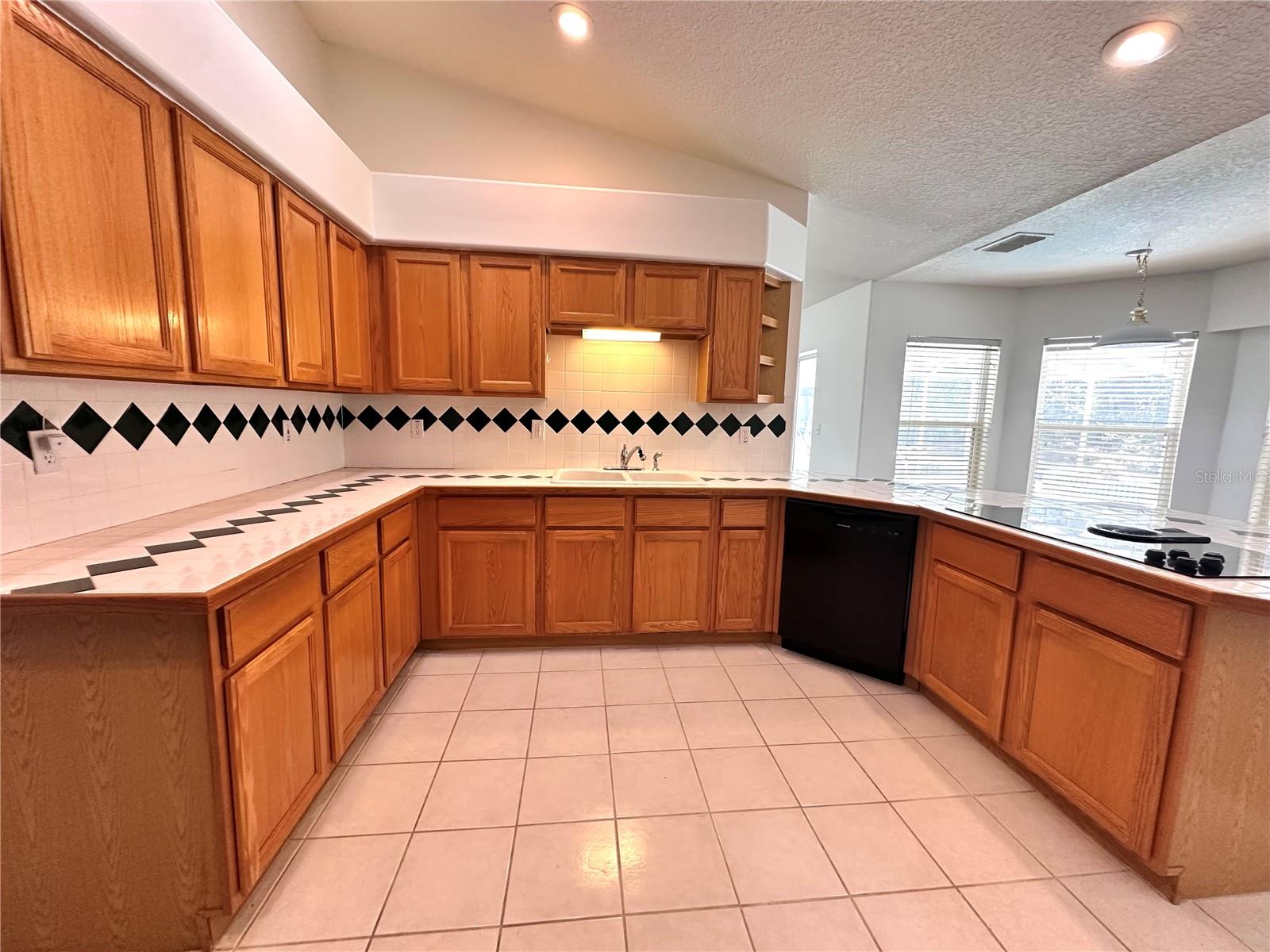 29439 SCHINNECOCK HILLS LN — photo 12