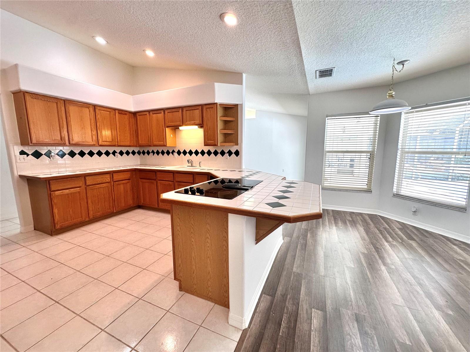 29439 SCHINNECOCK HILLS LN — photo 13