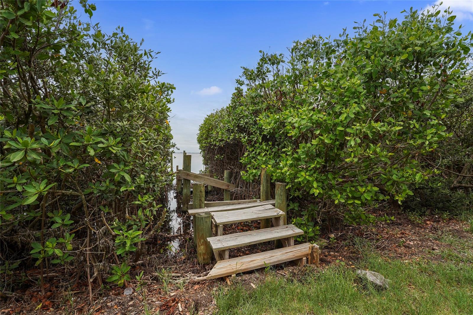 7538 WESTMORELAND DR — photo 14