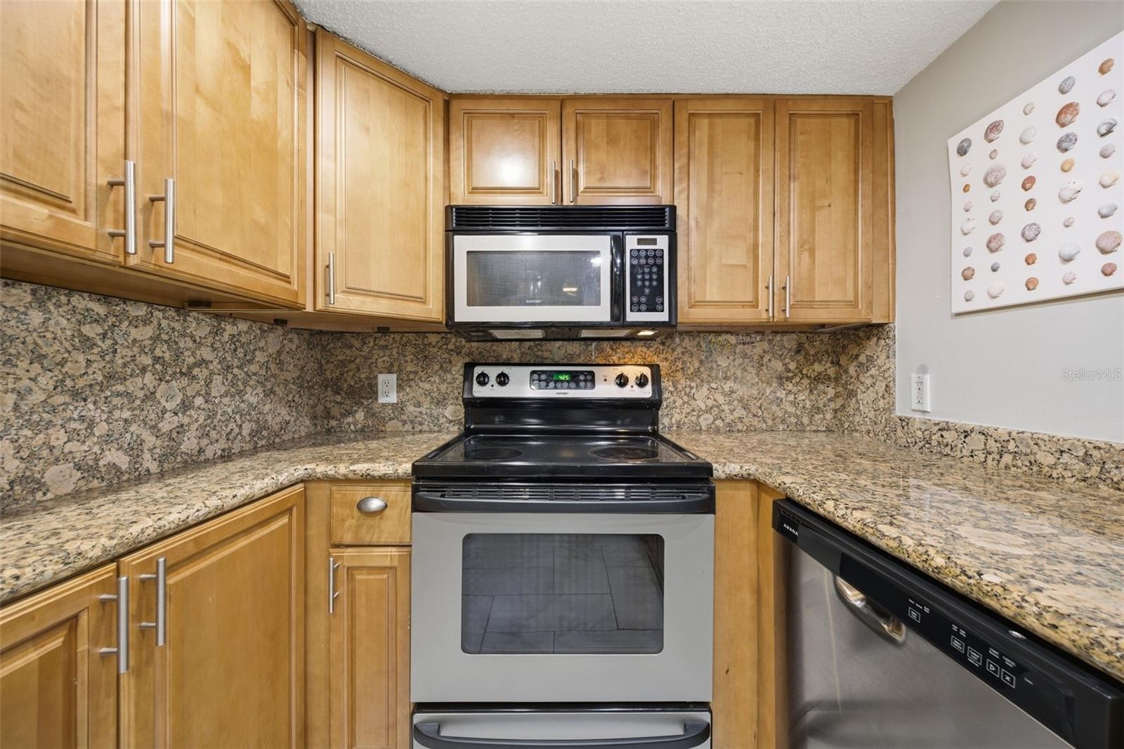 4141 BAYSHORE BLVD #706 — photo 4