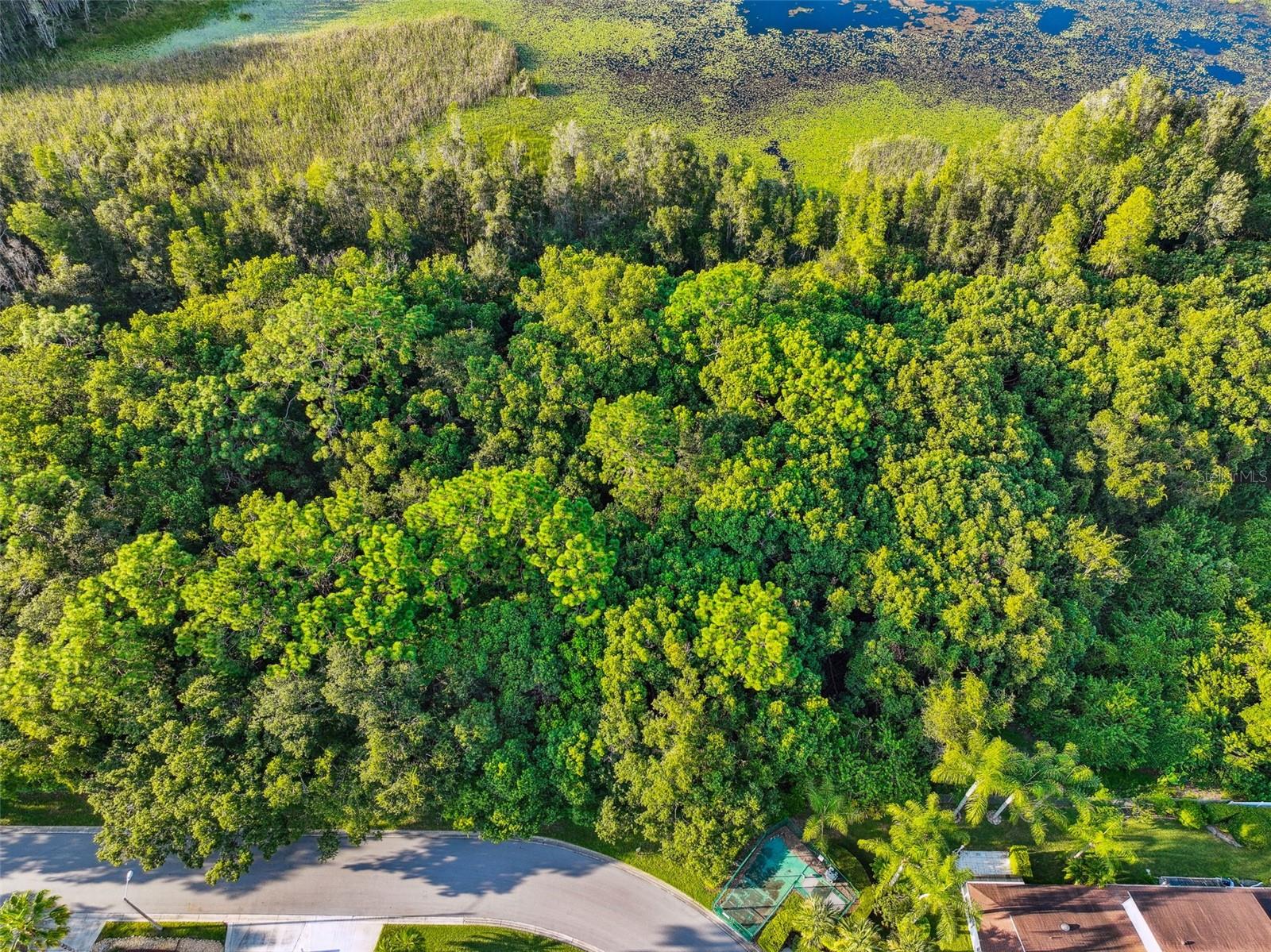 1758 LAND O LAKES BLVD — photo 23