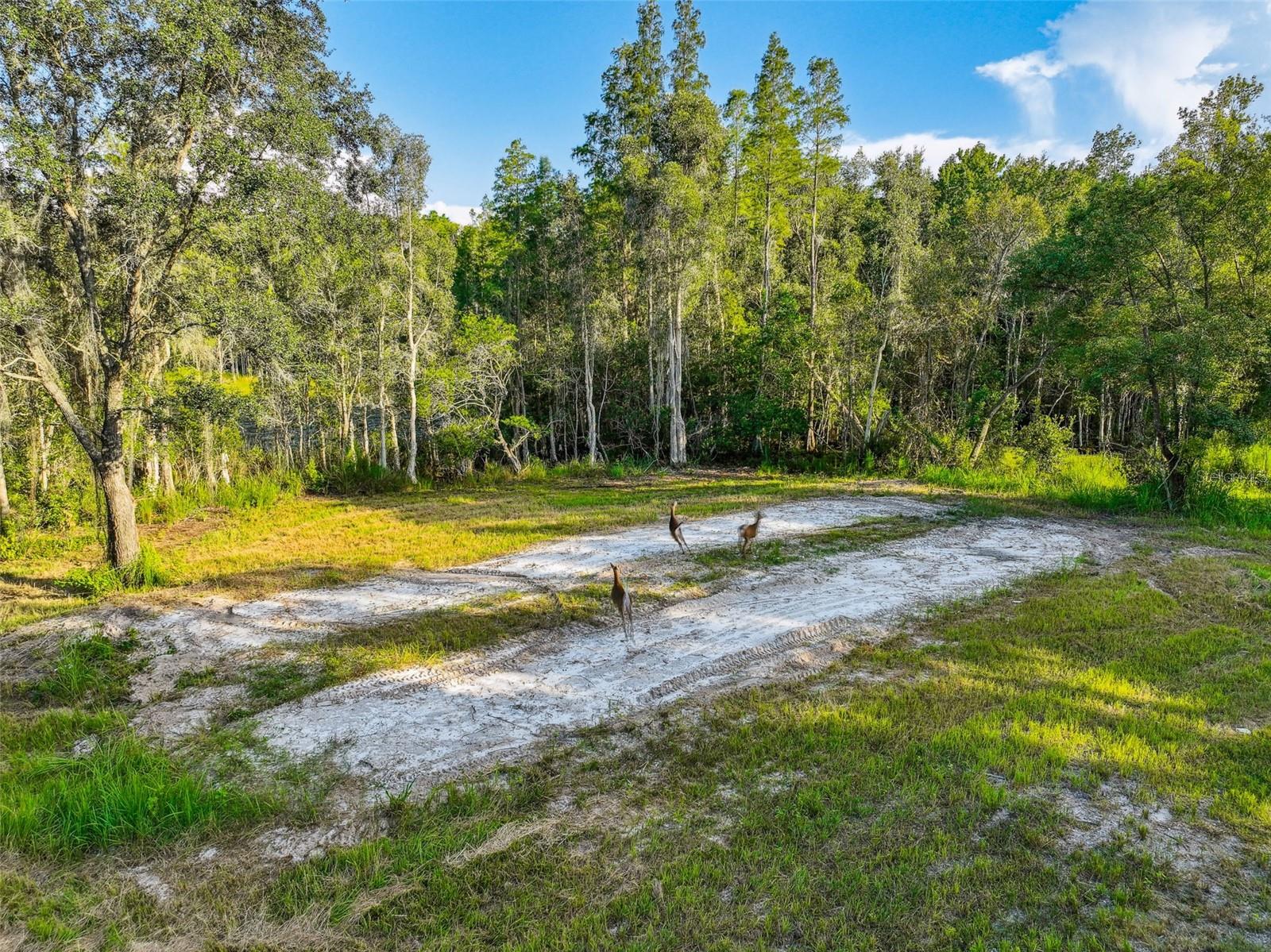 1758 LAND O LAKES BLVD — photo 15